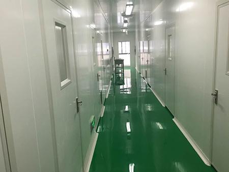 Turnkey Cleanroom Project for a Electronic Company