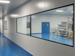 Double-Glazed Cleanroom Windows
